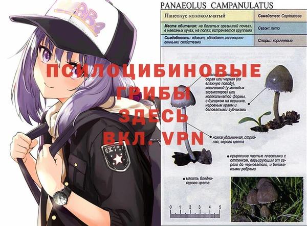 кокаин премиум Арсеньев