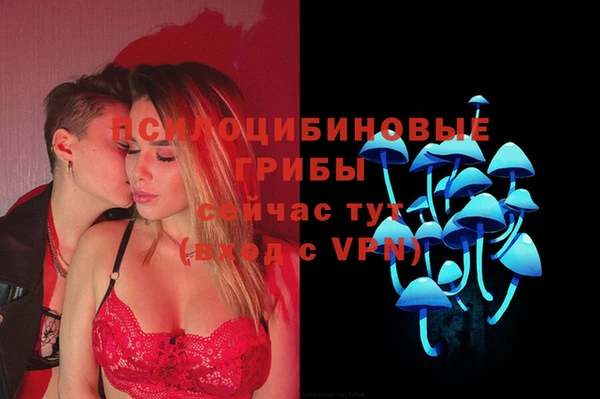 каннабис Аркадак