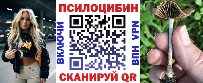 Псилоцибиновые грибы Psilocybe Нефтегорск